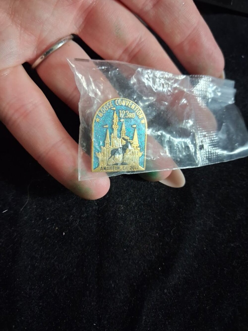 123rd Moose Convention 2011 pin